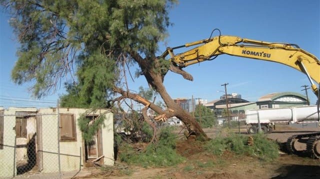 A Komatsu excavator is uprooting a large tree next to a small, abandoned building in a fenced area.