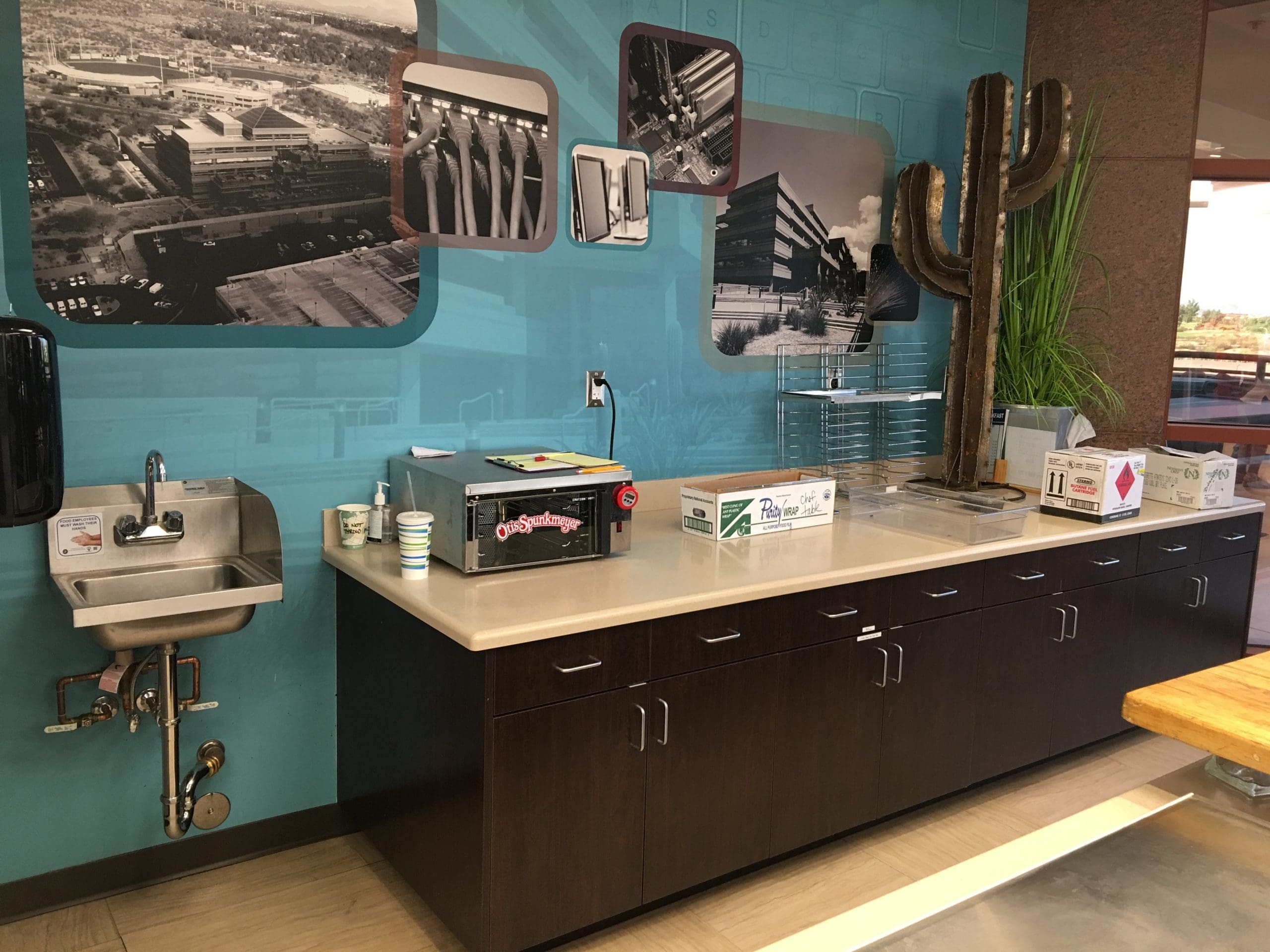 A kitchenette with a sink, countertop, and cabinets, decorated with a large artificial cactus and black-and-white photos on a blue wall. Disposable cups and boxes are on the counter.